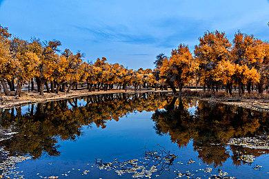 《赛马娘 Pretty Derby》DLC第一弹公开 爱丽丝队参战